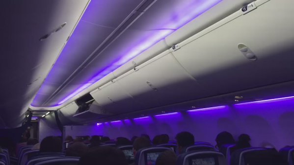 purpura avion