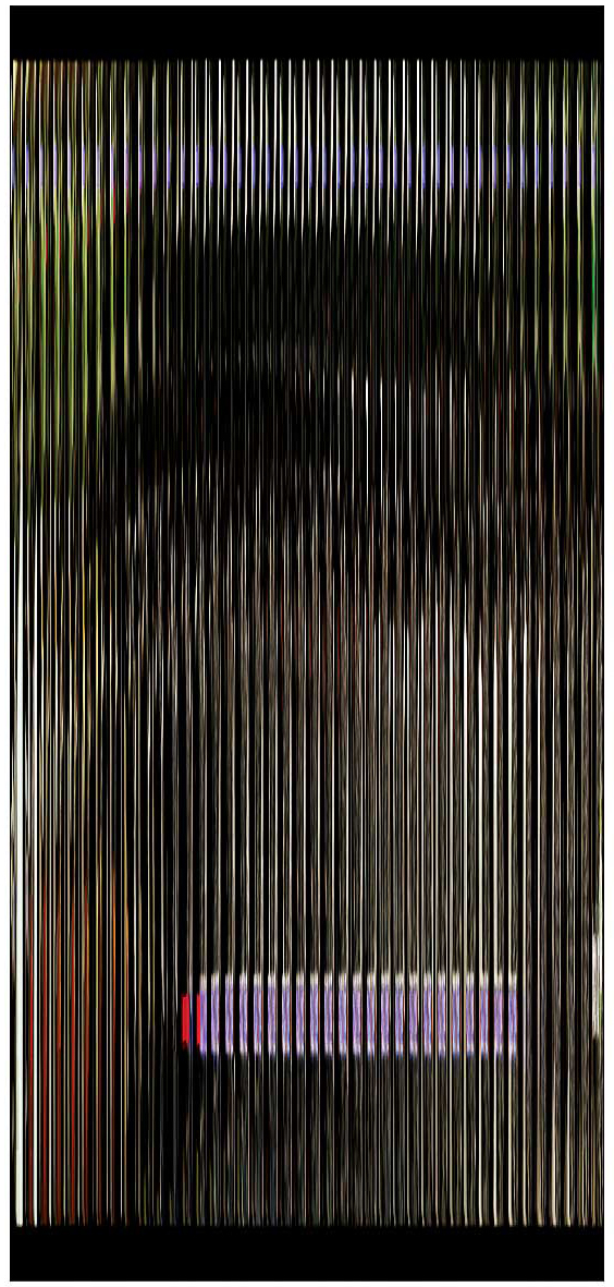 Resumen-F.Virgüez. 2013. Conrado Pittari. Impresión Digital. 110 x 51 cm